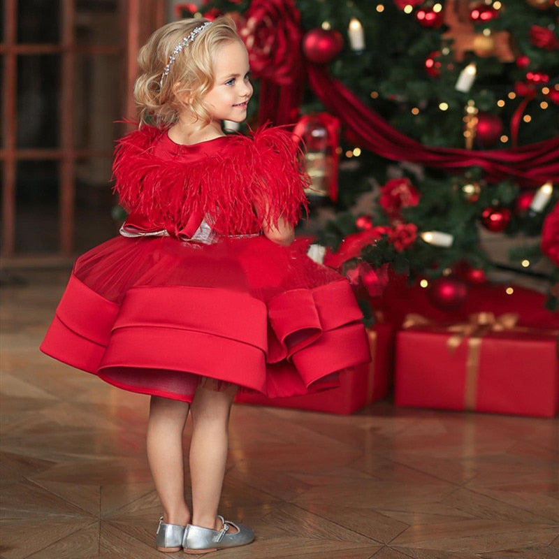 Little Princess Gown  Birthday Christmas Dress